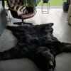 Skin of a black bear XL