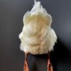 Taxidermy back of a white duck