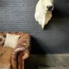 Stylish stuffed Piedmontese bulls head