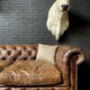 Stylish stuffed Piedmontese bulls head