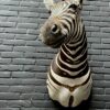 Mounted head of a Burchell zebra. Zebra head