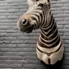 Mounted head of a Burchell zebra. Zebra head