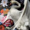 Ornate stuffed mute swan