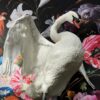 Taxidermy swan