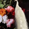 Mounted white peacock