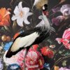 Opgezette kroonkraanvogel
