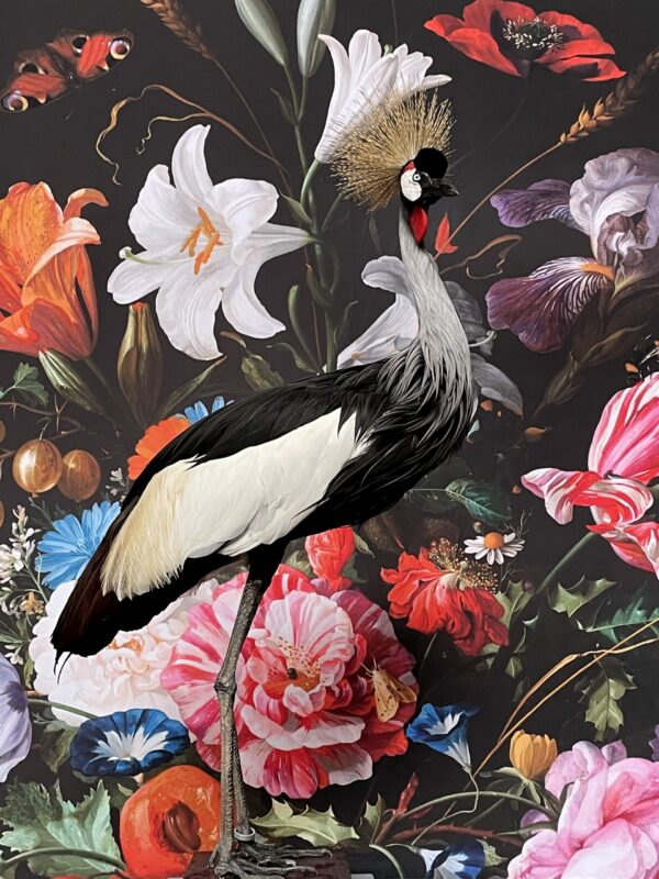 Opgezette kroonkraanvogel