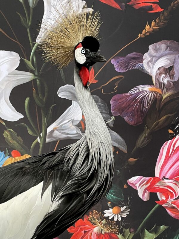 Opgezette kroonkraanvogel
