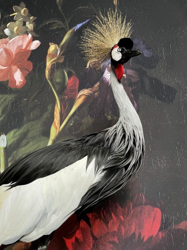 Mounted crown crane