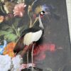 Opgezette kroonkraanvogel