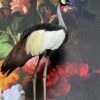 Opgezette kroonkraanvogel