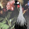 Opgezette kroonkraanvogel