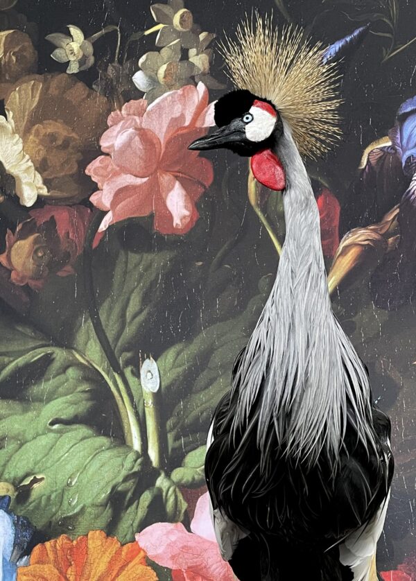 Opgezette kroonkraanvogel