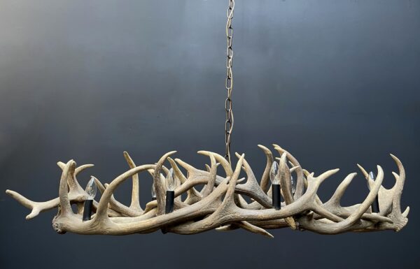 Elongated antler lamp of red deer antlers