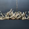 Elongated antler lamp of red deer antlers