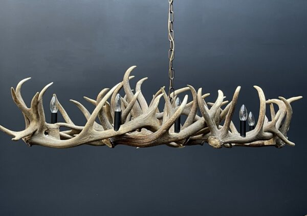 Elongated antler lamp of red deer antlers