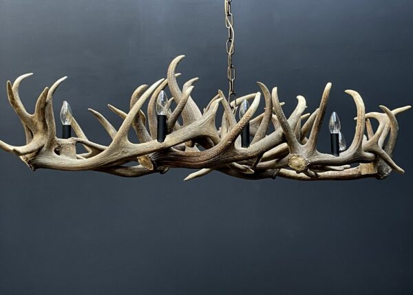 Elongated antler lamp of red deer antlers