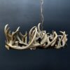 Elongated antler lamp of red deer antlers