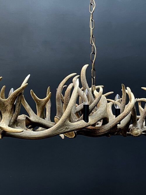 Elongated antler lamp of red deer antlers