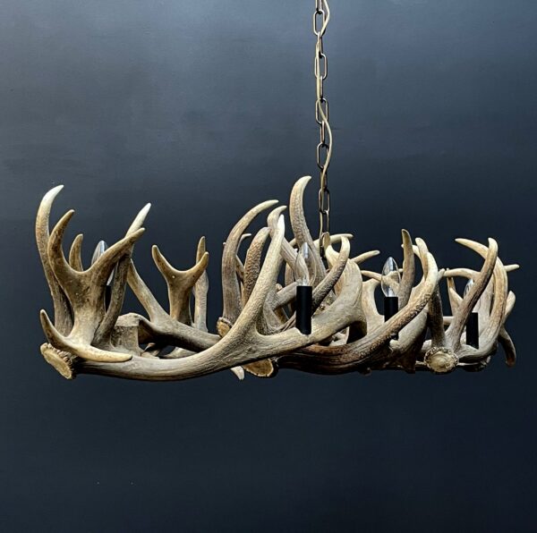 Elongated antler lamp of red deer antlers