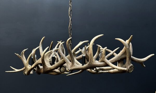 Elongated antler lamp of red deer antlers