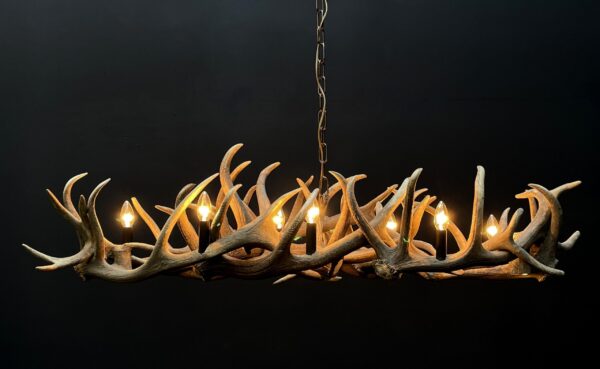 Elongated antler lamp of red deer antlers