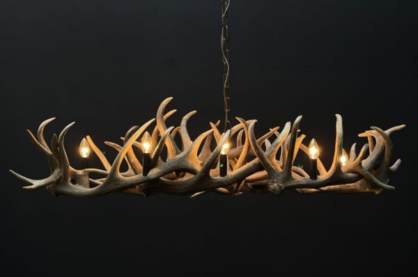 Elongated antler lamp of red deer antlers