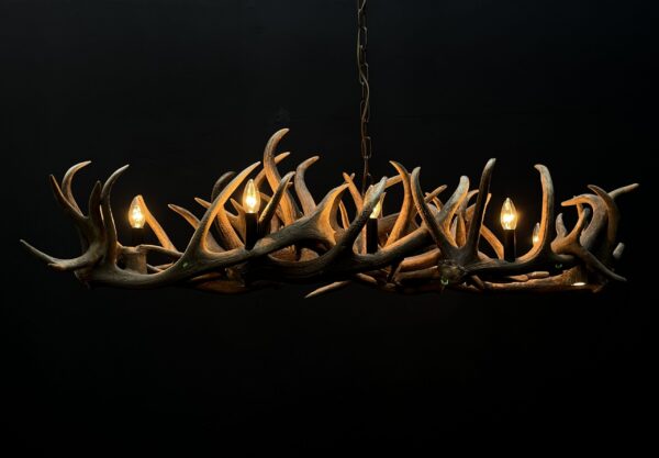 Elongated antler lamp of red deer antlers