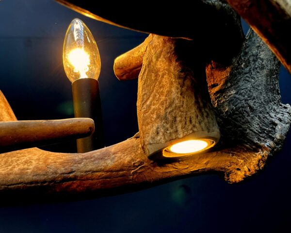 Elongated antler lamp of red deer antlers