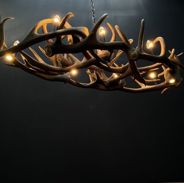 Elongated antler lamp of red deer antlers