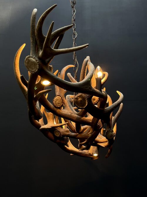 Elongated antler lamp of red deer antlers