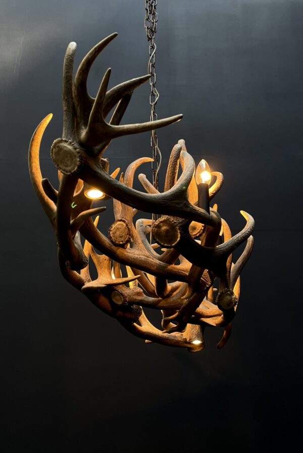 Elongated antler lamp of red deer antlers