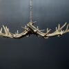 Elongated antler lamp of red deer antlers