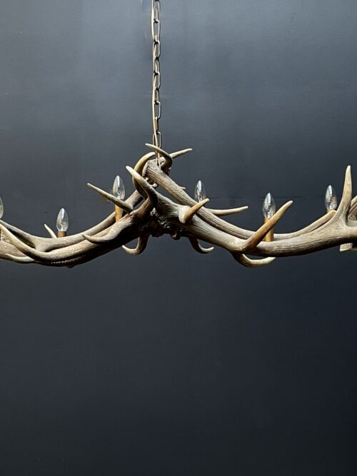 Elongated antler lamp of red deer antlers