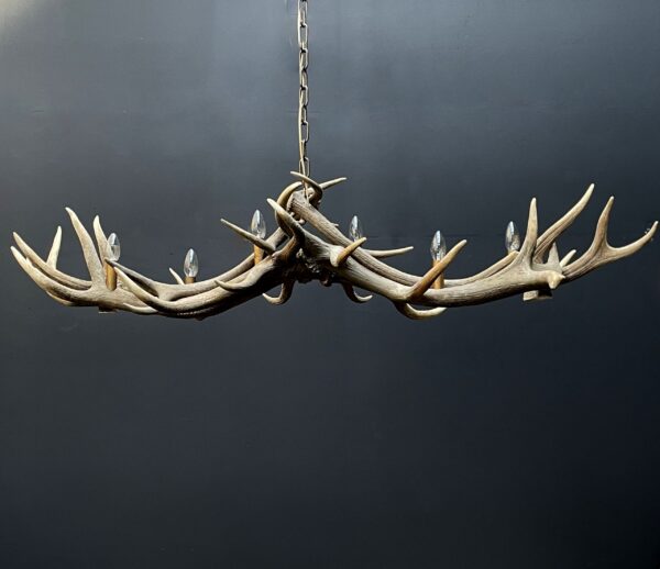 Elongated antler lamp of red deer antlers