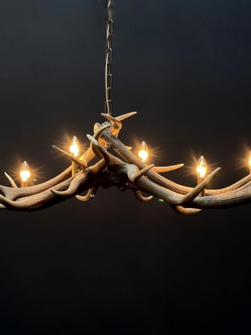 Elongated antler lamp of red deer antlers