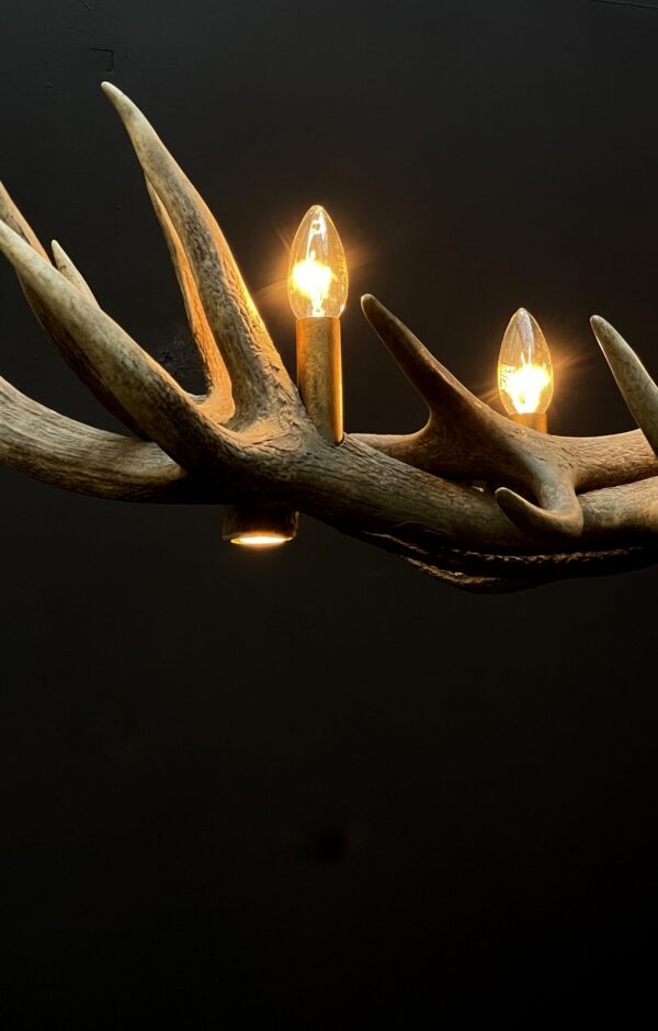 Elongated antler lamp of red deer antlers