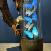 Modern Bullet dome with Morpho Adonis and Salamis butterflies