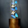 Modern Bullet dome with Morpho Adonis and Salamis butterflies