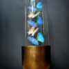 Moderne Bullet stolp met Morpho Adonis en Salamis vlinders