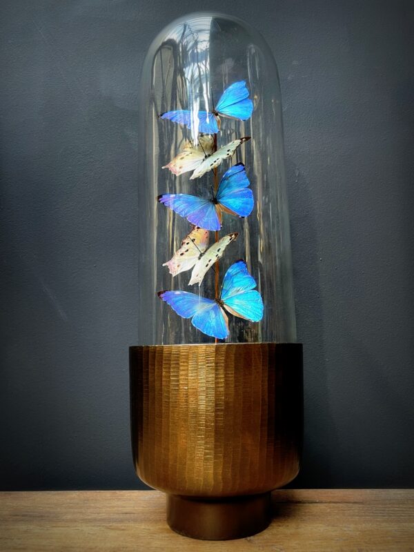 Moderne Bullet stolp met Morpho Adonis en Salamis vlinders