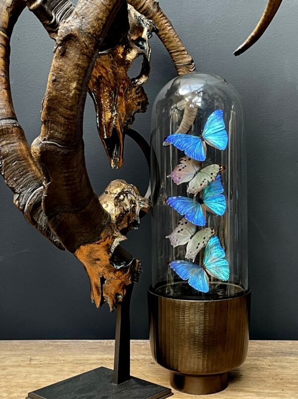 Moderne Bullet stolp met Morpho Adonis en Salamis vlinders