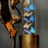 Modern Bullet dome with Morpho Adonis and Salamis butterflies