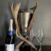 Champagnekoeler van gewei