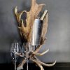 Champagnekoeler van gewei
