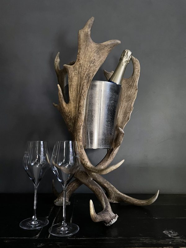 Champagnekoeler van gewei