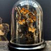 Antique bell with butterflies (Danaus Chrysipus).