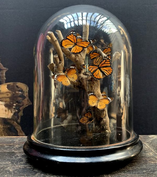 Antique bell with butterflies (Danaus Chrysipus).