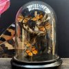 Antique bell with butterflies (Danaus Chrysipus).