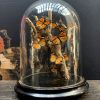 Antique bell with butterflies (Danaus Chrysipus).